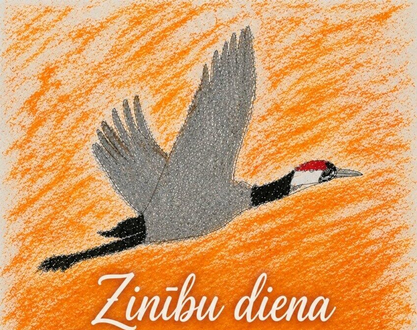 Oranžā zīmētā fonā attēlots lidojošs pelēks putns ar sarkanu galvas virsu. Plakāta teksts: 